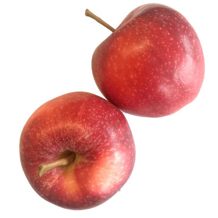 Apple Icon
