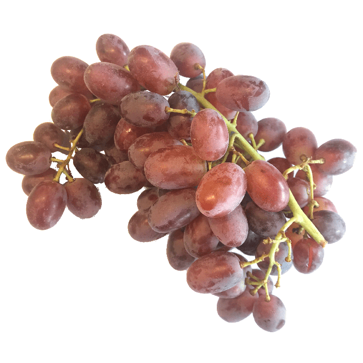 Grape Icon