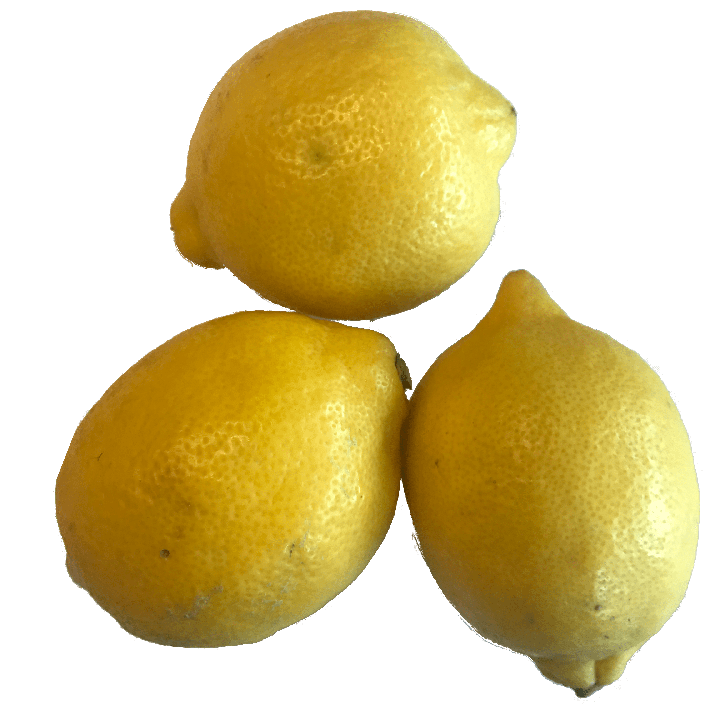 Lemon Icon